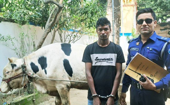 ২৪ ঘন্টার মধ্যেই গরু চোরকে গ্রেফতার করেছে পুলিশ